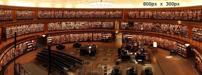 Welcome to our Library
